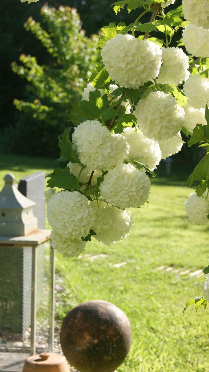مبيت وإفطار Fourneville Un Parfum De Violette المظهر الخارجي الصورة